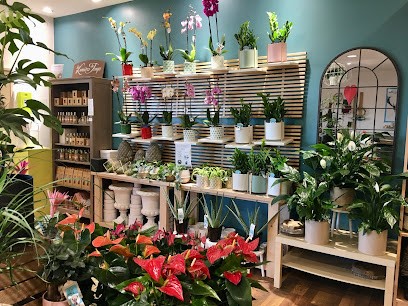 L'odeur Des Sous-bois, Fleuriste à Pujols