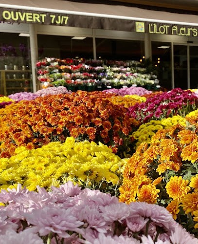L'ILOT FLEURS, Fleuriste à Issoire