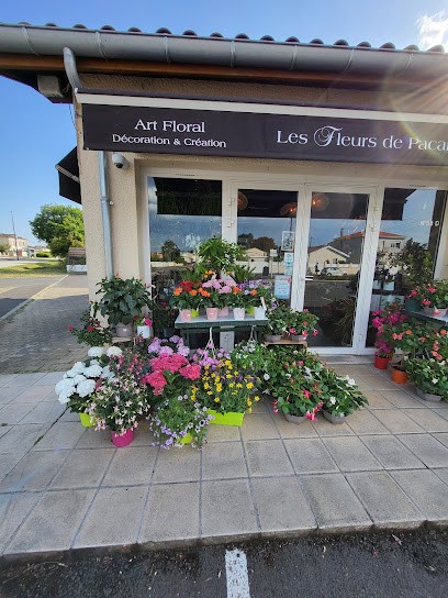 Les Fleurs De Pacaris, Fleuriste à Talence