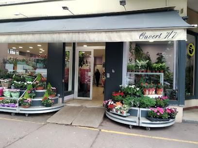 Ana Flowers, Fleuriste à Argenteuil