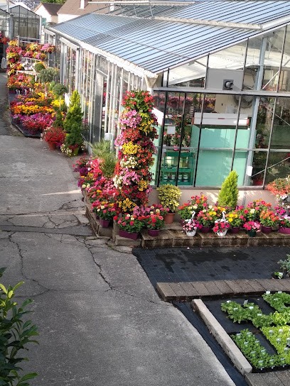 C'FLEURS, Fleuriste à Sées