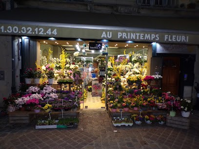 Florist Pontoise: Au Printemps Fleuri, Fleuriste à Pontoise