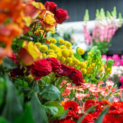 Etamine, Fleuriste à Montayral