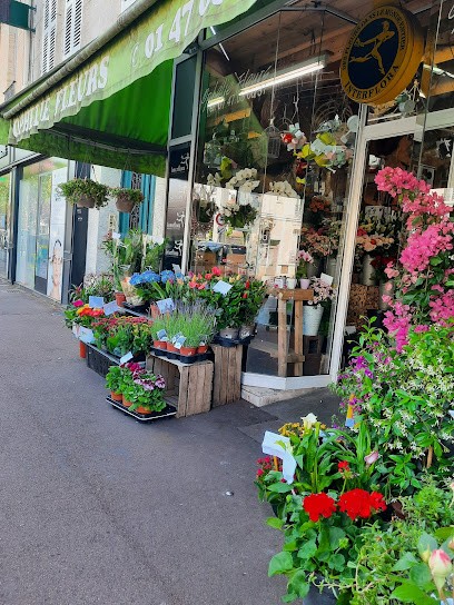 Ophélie Fleurs, Fleuriste à Rueil-Malmaison
