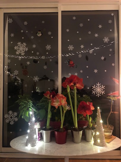 Fleurs de Lin, Fleuriste à Aranc