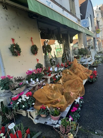 Fleurs Fries, Fleuriste à Saint-Louis