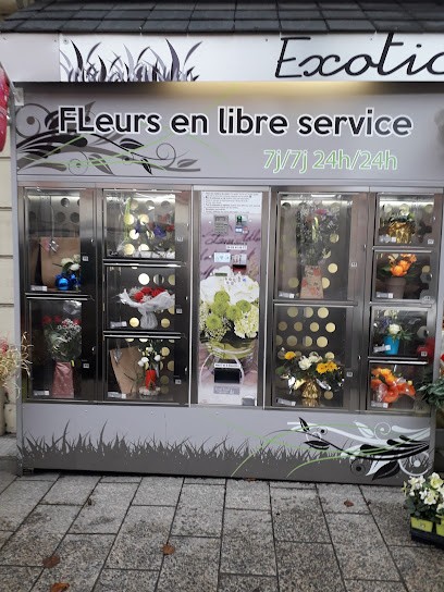 Exotic Fleurs, Fleuriste à Montrond-les-Bains