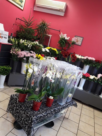 Le Paradis Des Fleurs, Fleuriste à Vélizy-Villacoublay
