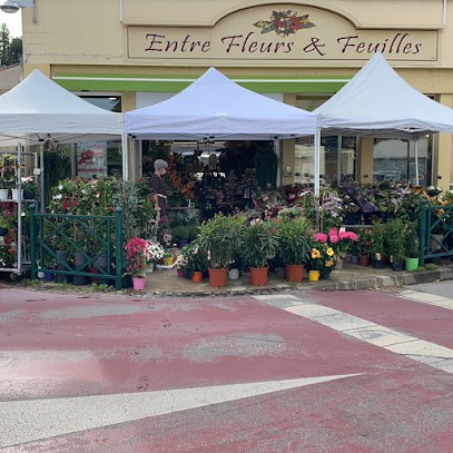 Entre Fleurs et Feuilles, Fleuriste à Chabeuil