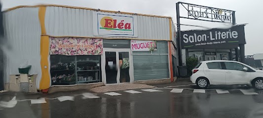 Elea, Les Fleurs Et Vous. Par Jouve Yéla, Fleuriste à Orange