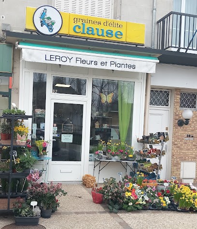 Leroy Fleurs et Plantes, Fleuriste à Noyon