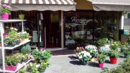 Harmony Fleurs | Fleuriste à Saint-Paul-en-Chablais, Fleuriste à Saint-Paul-en-Chablais