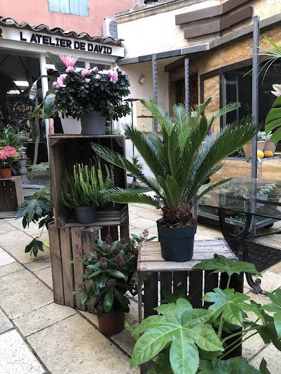 L’atelier De David, Fleuriste à Orange