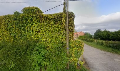 Ferme des Fleurs de l'Aa, Fleuriste à Sainte-Marie-Kerque