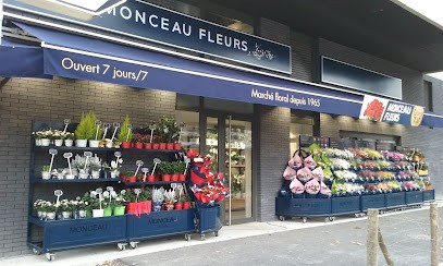 Monceau Fleurs, Fleuriste à Échirolles