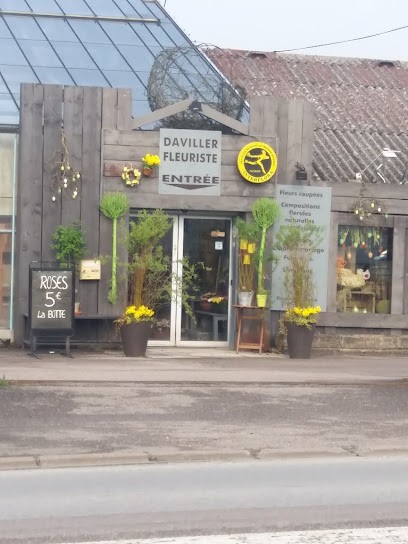 Boutique Fleurie Daviller, Fleuriste à Mirecourt