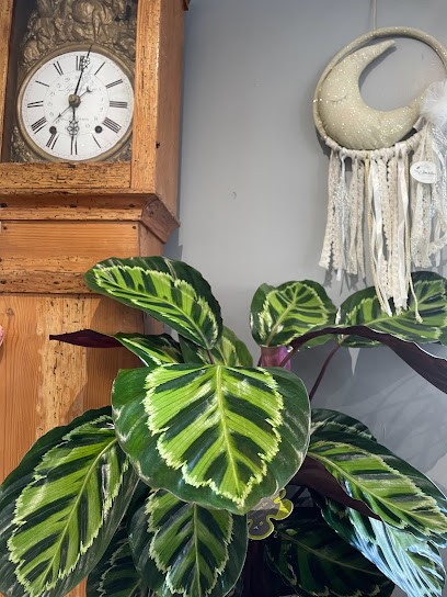 Aux Bonheurs Des Fleurs, Fleuriste aux Grandes-Ventes