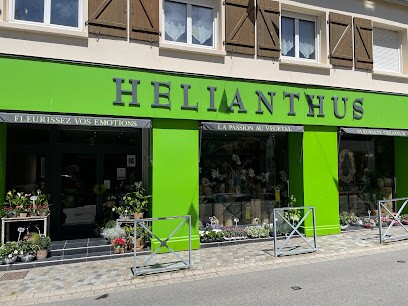 Hélianthus, Fleuriste au Conquet