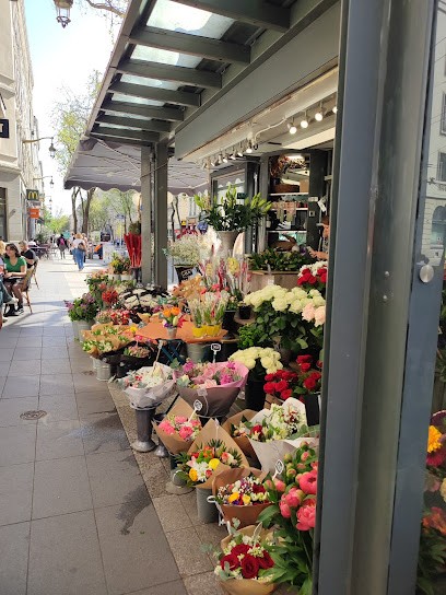 République Fleurs, Fleuriste à Lyon 01