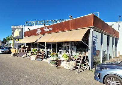 Lilie Fleurs, Fleuriste à L'Isle-sur-la-Sorgue