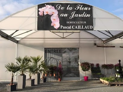 De la fleur au jardin, Pascal Caillaud, Fleuriste à Saint-Yrieix-la-Perche