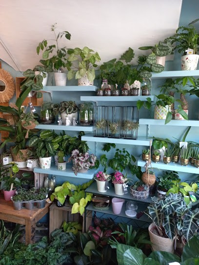 Se Mettre Au Vert, Fleuriste à Saint-Hippolyte-du-Fort