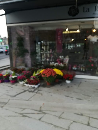 La Rose Rouge, Fleuriste à Flers