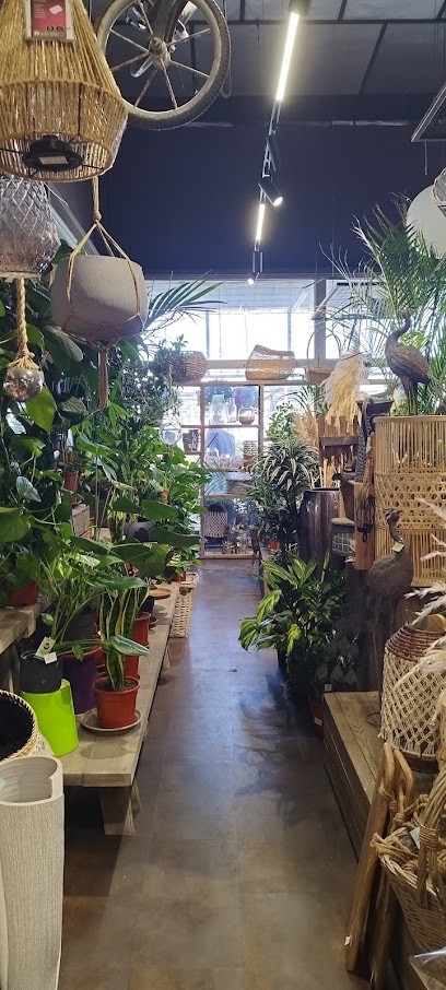 Les Fleurs de la Gare, Fleuriste à Aigues-Mortes