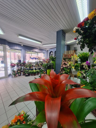 Côte Fleurs, Fleuriste à Lassigny