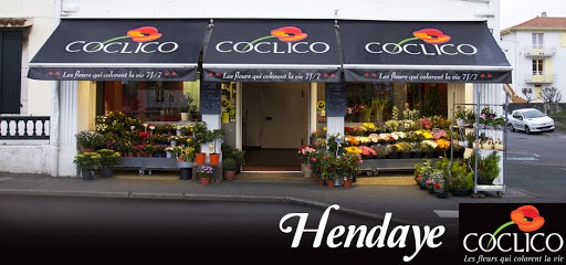 COCLICO64, Fleuriste à Hendaye