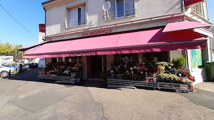 Chlorophylle, Fleuriste à Fleury-les-Aubrais