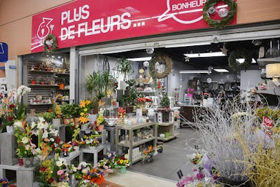 Plus de Fleurs - Chatte St Marcellin, Fleuriste à Saint-Marcellin
