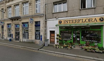 Mauduit Marc Alain, Fleuriste à Vire Normandie