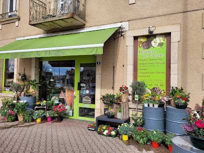 Histoire de fleurs, Fleuriste à Pouilly-sous-Charlieu