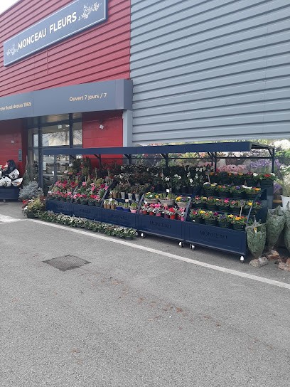 Monceau Fleurs, Fleuriste à Auray
