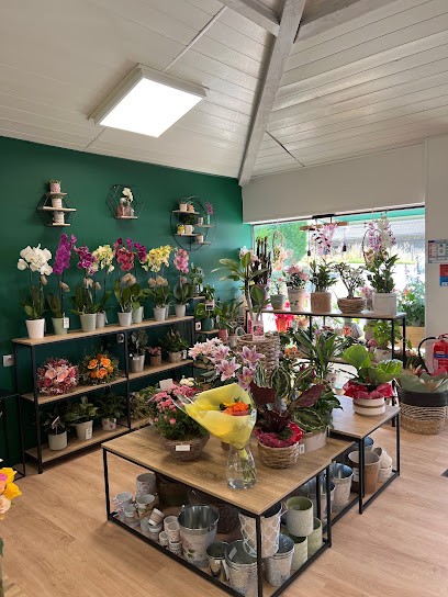 FLOrist, Fleuriste à Lauzerte