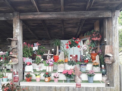 Au fleurissement de lempereur (AFL PAYSAGE), Fleuriste à Étoile-sur-Rhône