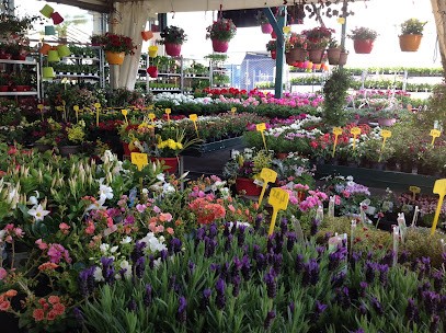 Fleurs Muckli, Fleuriste à Phalsbourg