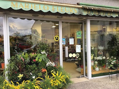 Plus que des Fleurs, Fleuriste à Arengosse