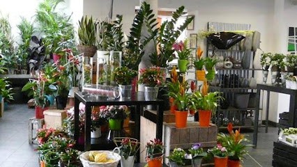 Choquel ETS, Fleuriste à Villeneuve-d'Ascq