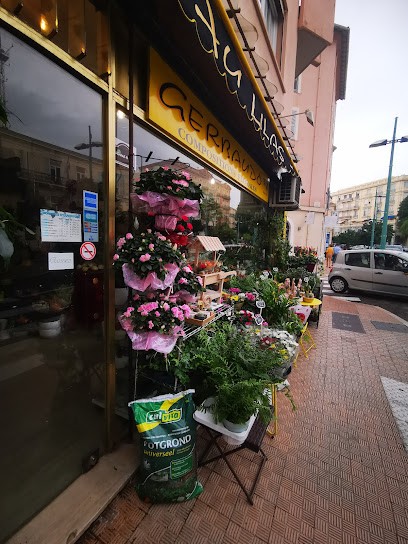 Au Lilas, Fleuriste à Menton