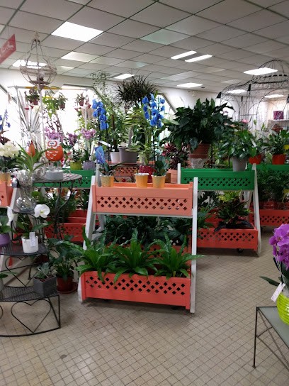 Aux Glycines, Fleuriste à Mousseaux-lès-Bray