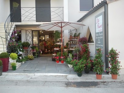 Cote Fleurs, Fleuriste au Pouget