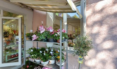 DOMI-FLEURS, Fleuriste à Pamiers