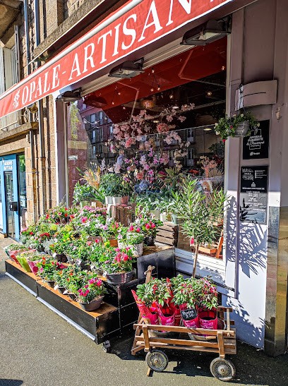 Opale - Artisan Fleuriste, Fleuriste à Fougères