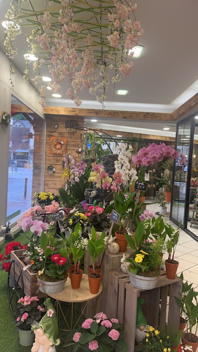 Les Fleurs Papillonnent, Fleuriste au Pont-de-Beauvoisin