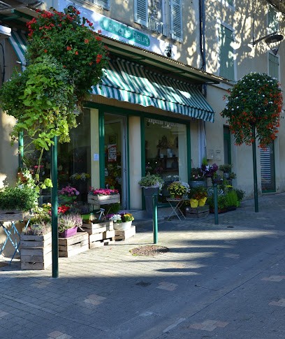 MONIQUE FLEURS, Fleuriste à Valréas