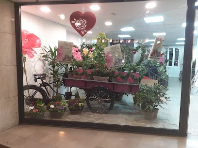 Amours Fleuris, Fleuriste à Noyon