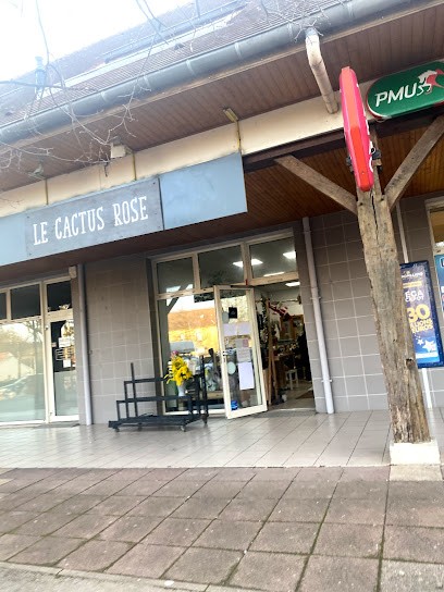 Le Cactus Rose, Fleuriste à Longecourt-en-Plaine