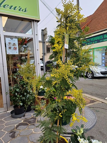 Bonnault Fleurs, Fleuriste à Combs-la-Ville